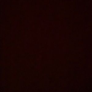 Meet your Posher, Darius